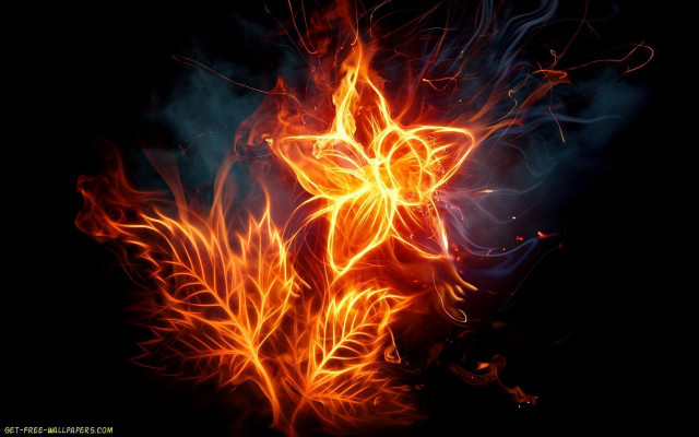 Fire flower dark bright lights #2 free wallpaper for desktop - medium preview image