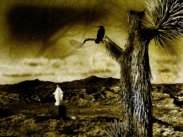 Bird perched tree desert landscape free wallpaper for desktop - medium preview image