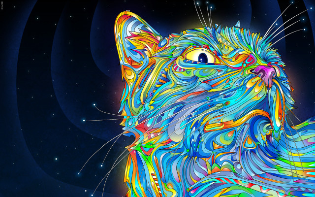 Colorful cat blue background stars #3 free wallpaper for desktop - medium preview image