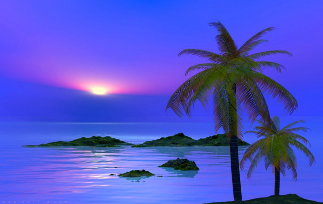 Palm tree beach ocean sunset free wallpaper for desktop - medium preview image