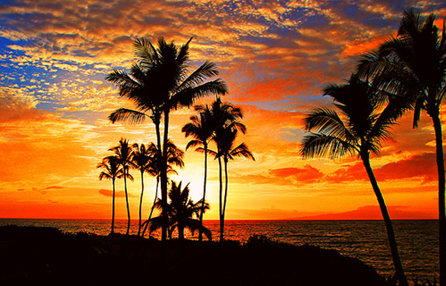 Sunset palm trees beach boat free wallpaper for desktop - medium preview image