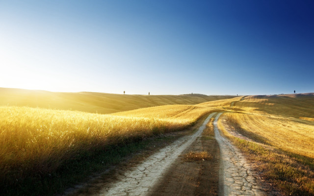 Dirt road field sun bright free wallpaper for desktop - medium preview image