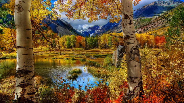 Mountain lake fall foliage trees #2 free wallpaper for desktop - medium preview image