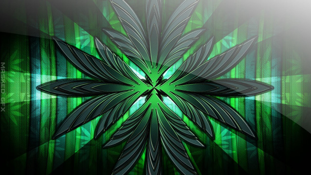 Green flower bamboo jungle light free wallpaper for desktop - medium preview image