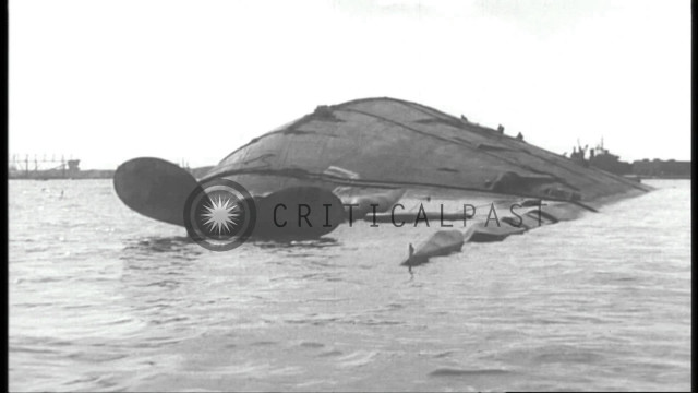 Large boat water bird side free wallpaper for desktop - medium preview image