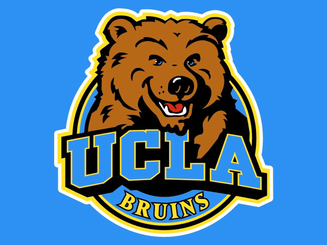 Bear head ucla u c free wallpaper for desktop - medium preview image