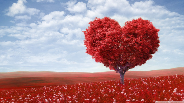 Heart shaped tree field flowers #5 free wallpaper for desktop - medium preview image