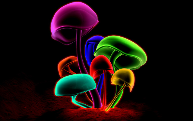 Glowing mushrooms dark background red free wallpaper for desktop - medium preview image