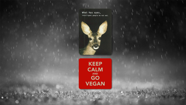 Deer keep calm go vegan free wallpaper for desktop - medium preview image