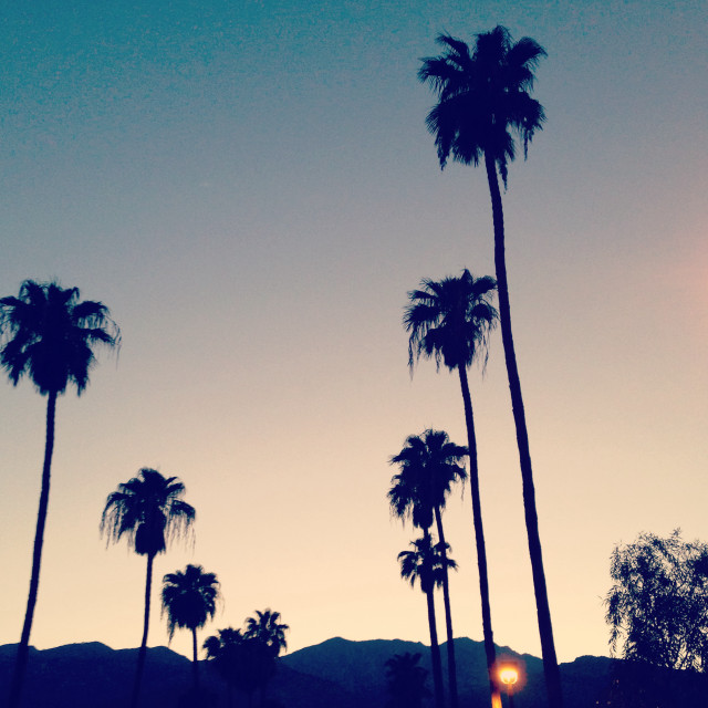 Palm trees mountain sunset bright free wallpaper for tablet - medium preview image