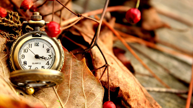 Pocket watch leaf berries ground free wallpaper for desktop - medium preview image