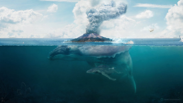 Whale swimming ocean volcano bird free wallpaper for desktop - medium preview image