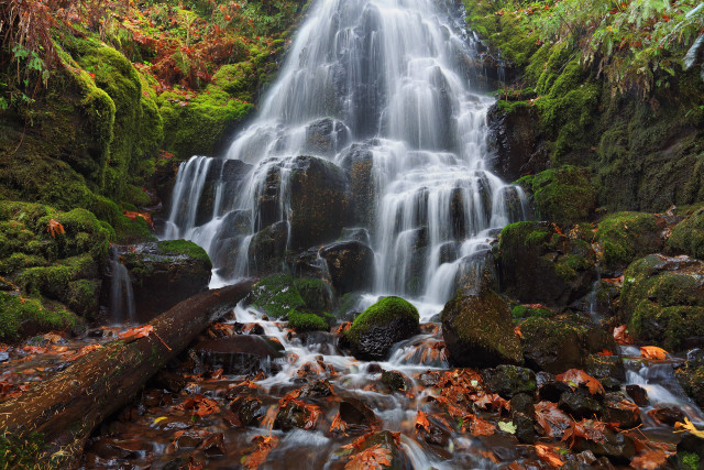 Waterfall forest autumn leaves campfire free wallpaper for desktop - medium preview image