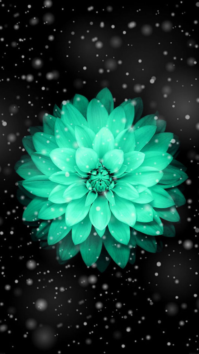 Green flower water droplets black free wallpaper for mobile - medium preview image