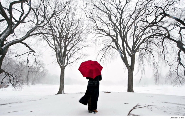 Person walking snow red umbrella free wallpaper for desktop - medium preview image