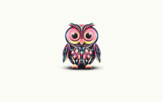 Colorful owl white surface background free wallpaper for desktop - medium preview image