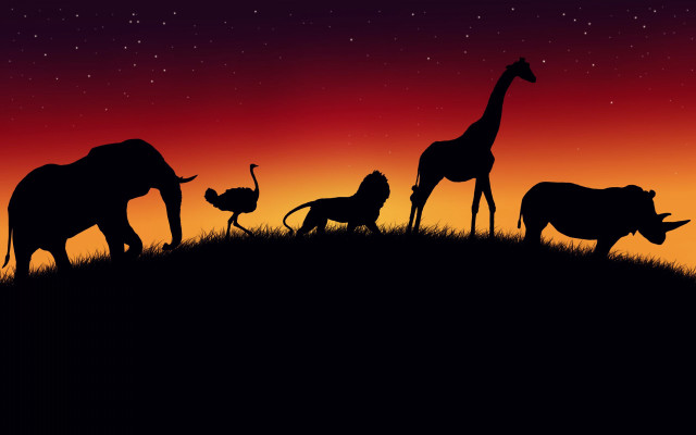Animals hill night red sky free wallpaper for desktop - medium preview image