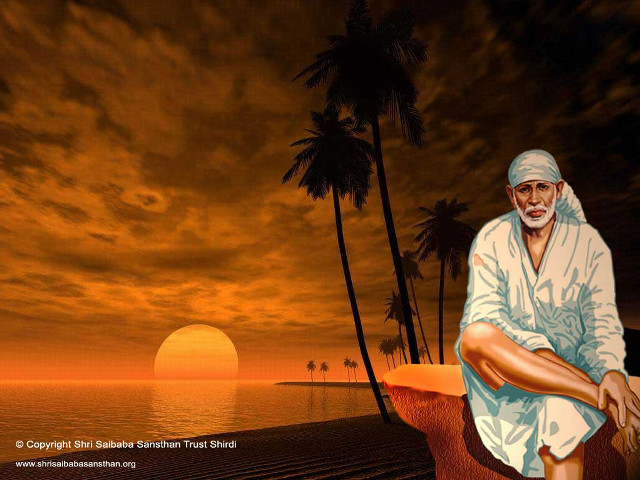 Man sitting wall ocean palm free wallpaper for desktop - medium preview image