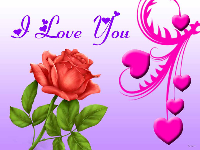 Pink rose hearts purple background free wallpaper for desktop - medium preview image