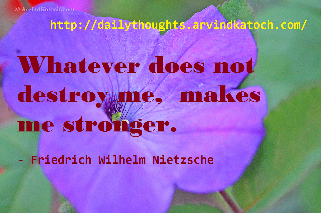 Purple flower quote friedrich says free wallpaper for desktop - medium preview image