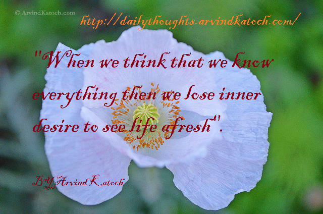 White flower quote poem person free wallpaper for desktop - medium preview image