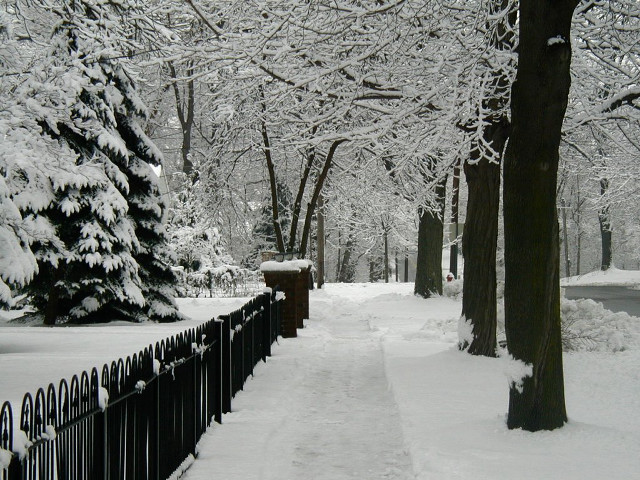 Snowy path fence trees street free wallpaper for desktop - medium preview image