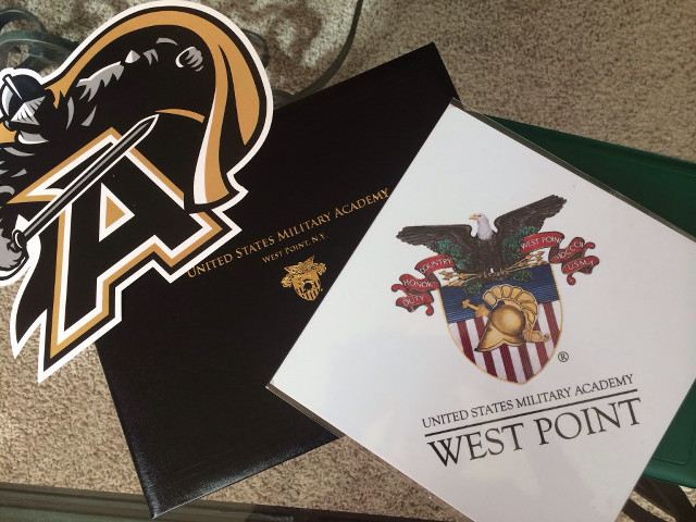 Cards logo seal floor carpet free wallpaper for desktop - medium preview image