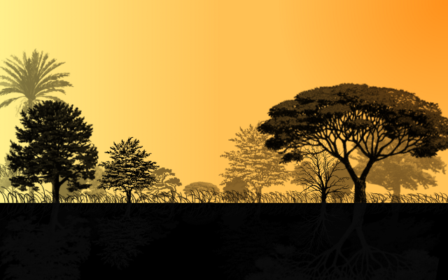Trees field sunset yellow sky free wallpaper for desktop - medium preview image