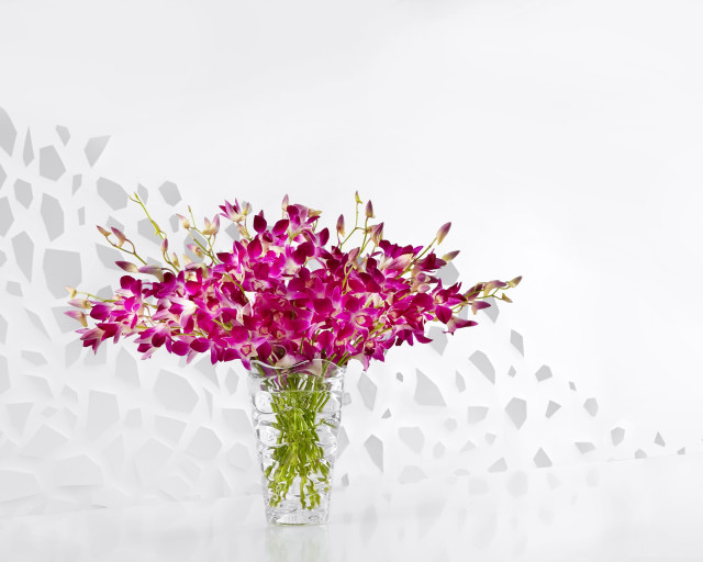 Vase purple flowers table broken free wallpaper for desktop - medium preview image