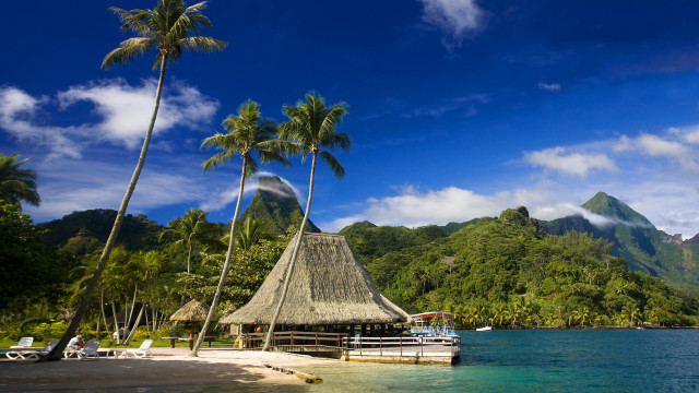 Hut beach palm trees boat free wallpaper for desktop - medium preview image