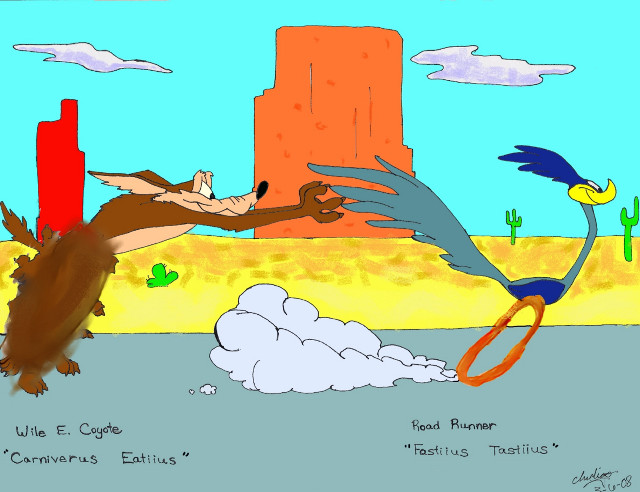 Cartoon bird desert flying beach free wallpaper for desktop - medium preview image