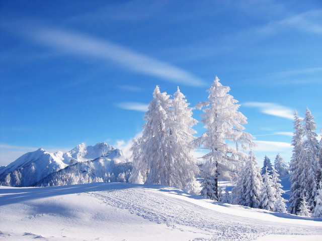 Snowy landscape trees mountains blue free wallpaper for desktop - medium preview image