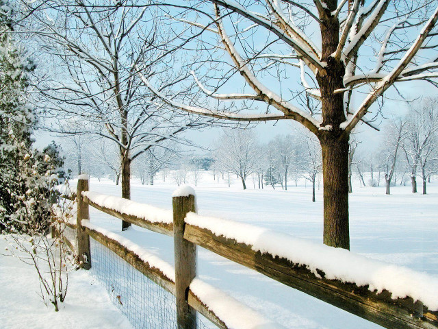 Fence snow tree background snow #2 free wallpaper for desktop - medium preview image