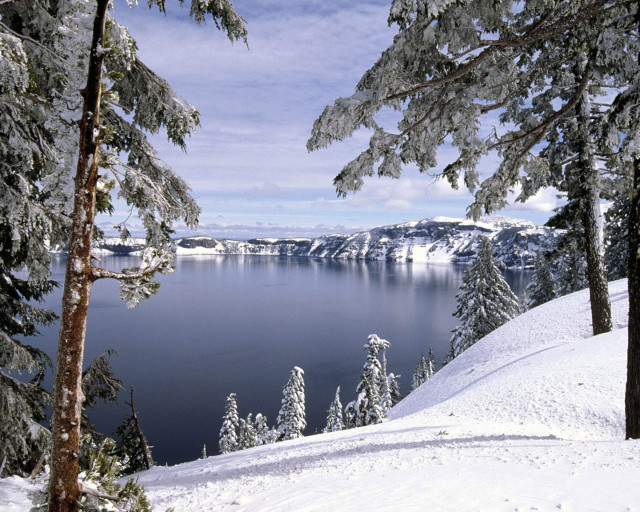 Winter lake snowy trees cloudy free wallpaper for desktop - medium preview image
