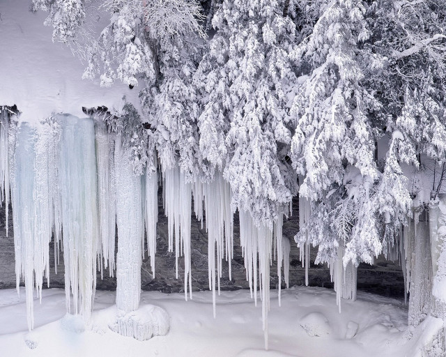 Trees ice icicles snow river free wallpaper for desktop - medium preview image