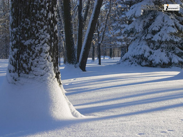 Snow covered path park trees free wallpaper for desktop - medium preview image