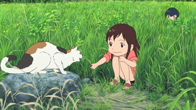 Girl kneeling cat field grass free wallpaper for desktop - medium preview image
