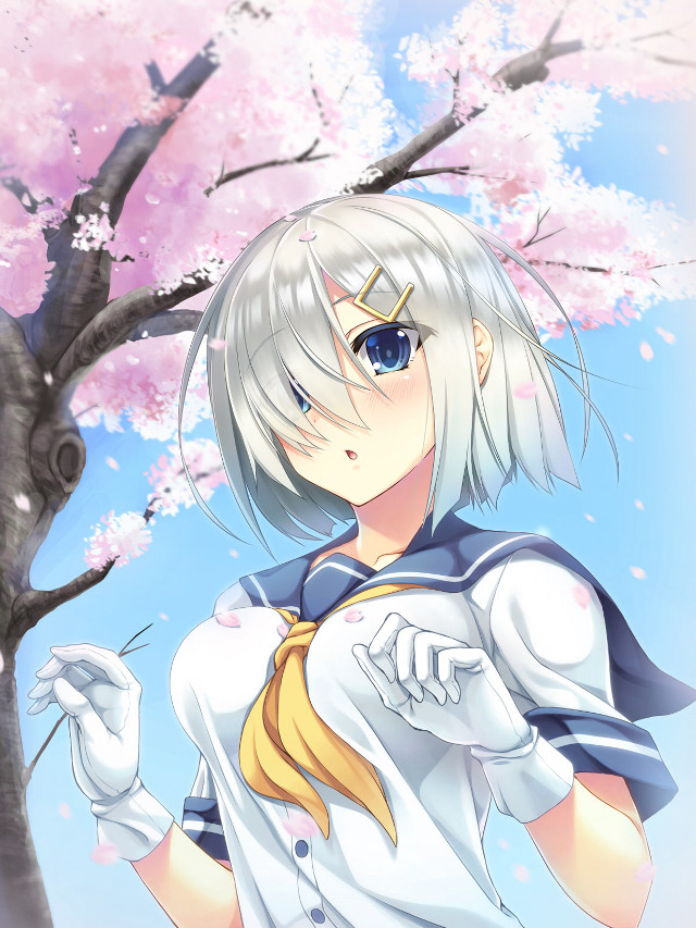Anime girl tree pink flowers free wallpaper for mobile - medium preview image