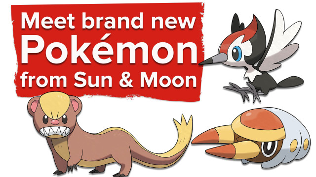 Cartoon bird colorful funny illustration free wallpaper for desktop - medium preview image