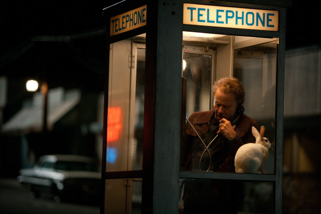 Man phone booth rabbit lap free wallpaper for desktop - medium preview image