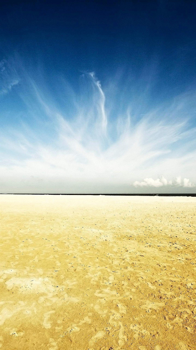 Lone horse vast field blue free wallpaper for mobile - medium preview image