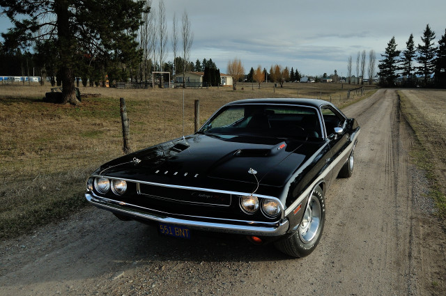 Black muscle car dirt road free wallpaper for desktop - medium preview image