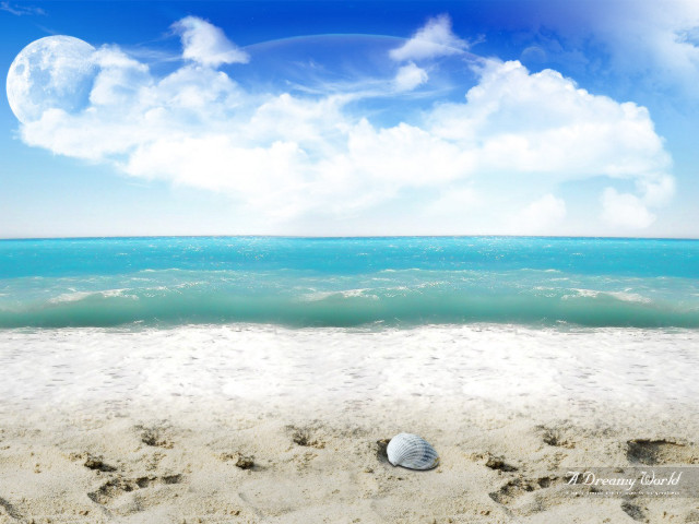 Seashell sandy beach blue sky #2 free wallpaper for desktop - medium preview image