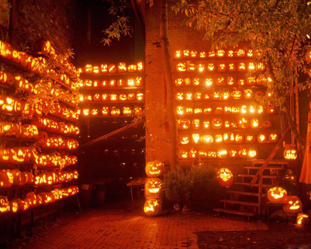 Lit up pumpkins in the #3 free wallpaper for desktop - medium preview image