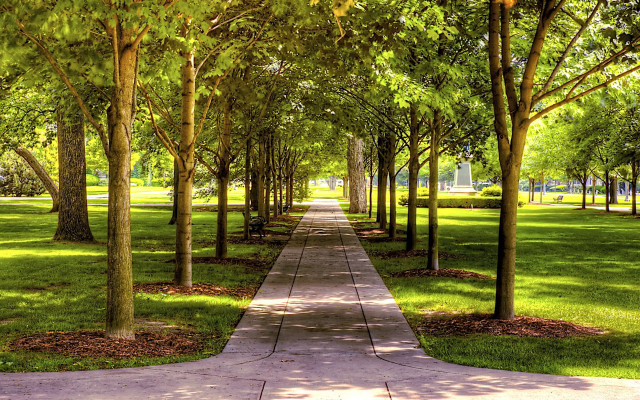 Pathway park trees grass bench #2 free wallpaper for desktop - medium preview image