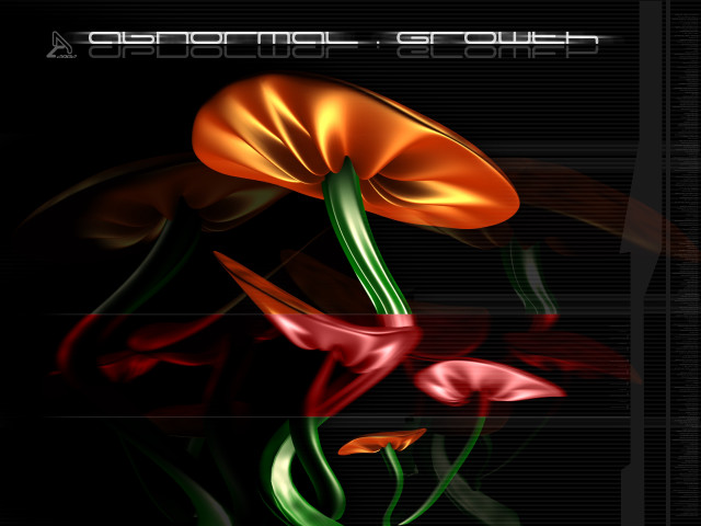 Flower black background red green free wallpaper for desktop - medium preview image