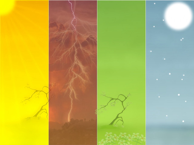 Tree sky sun branch color free wallpaper for desktop - medium preview image