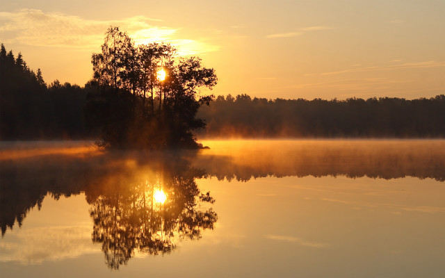 Lake tree sunlight fog sunbeam free wallpaper for desktop - medium preview image