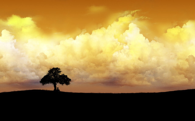 Lone tree field cloudy sky free wallpaper for desktop - medium preview image