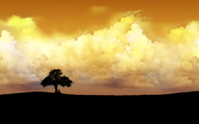 Lone tree field cloudy sky #5 free wallpaper for desktop - medium preview image